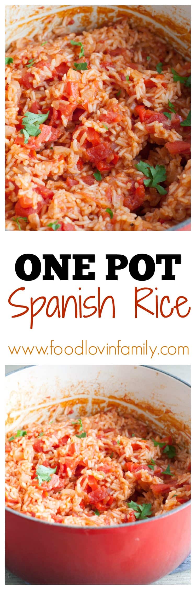 spanish rice pin