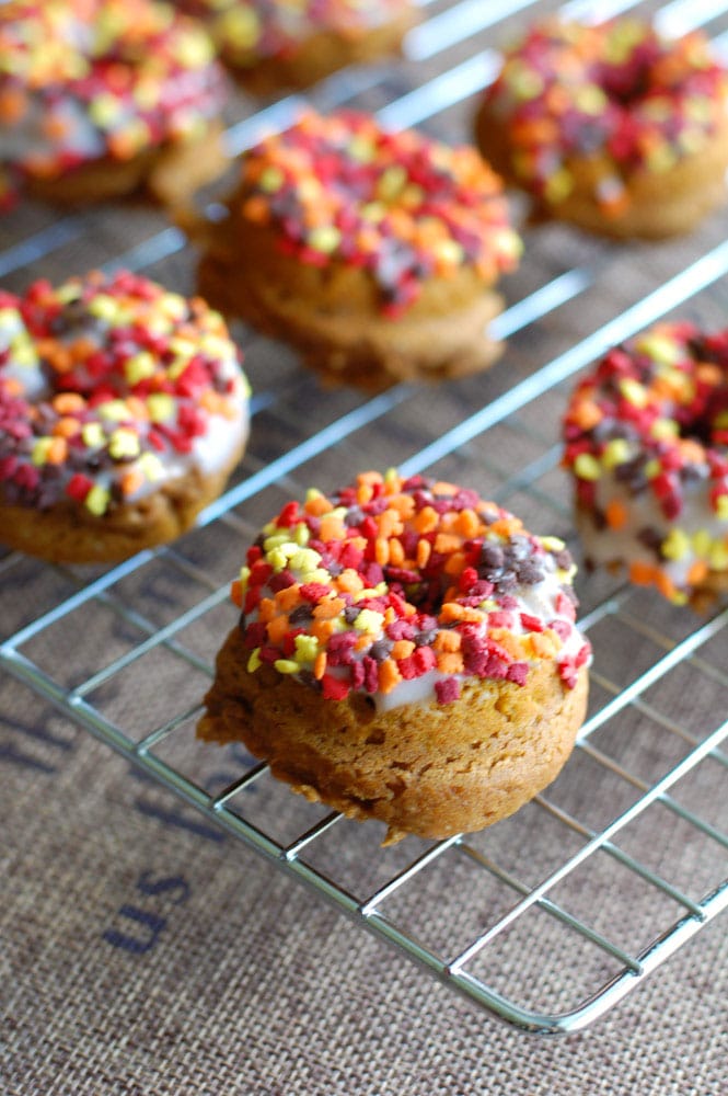 pumpkin donuts