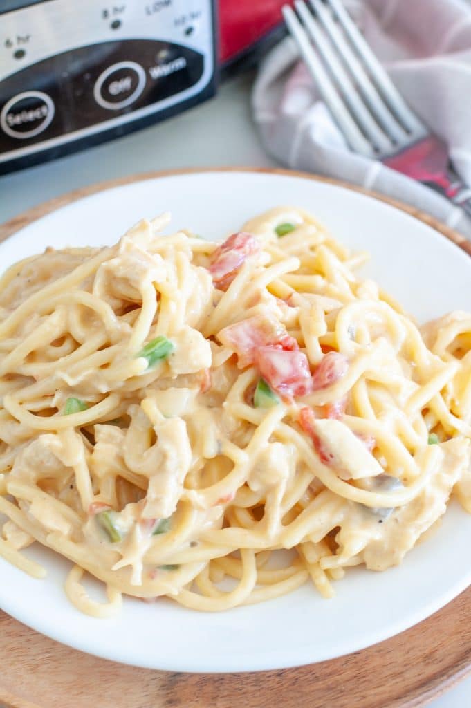 Plate of spaghetti with cream sauce