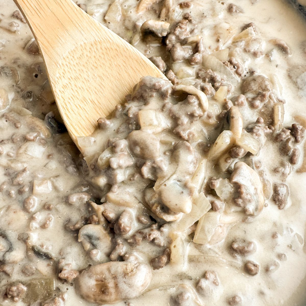 Wooden spoon with ground beef stroganoff.