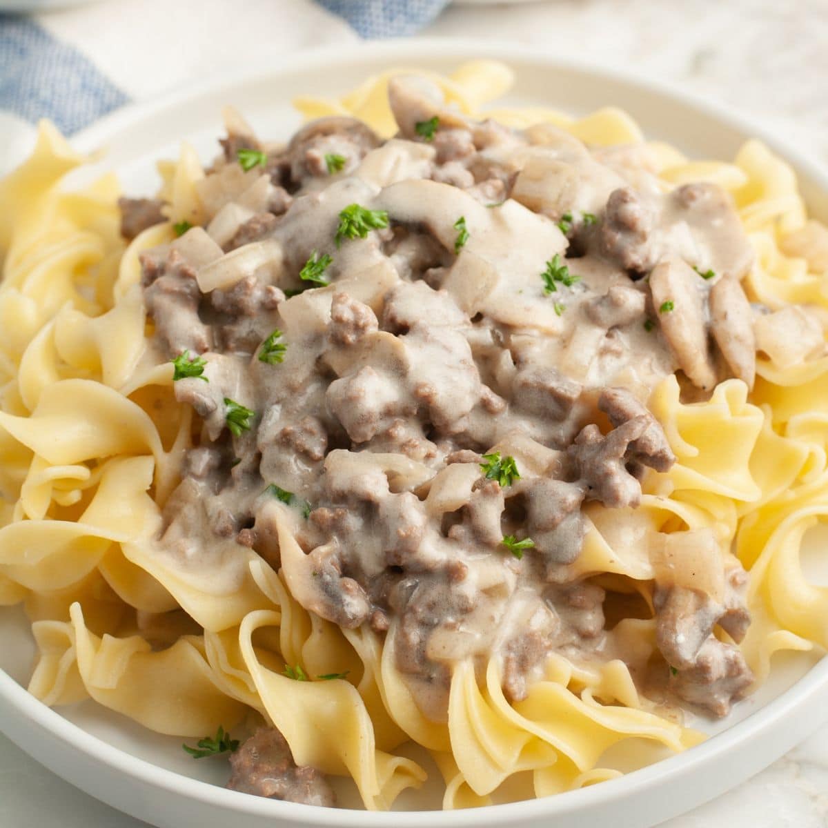Bow of egg noodles topped with creamy ground beef mixture.