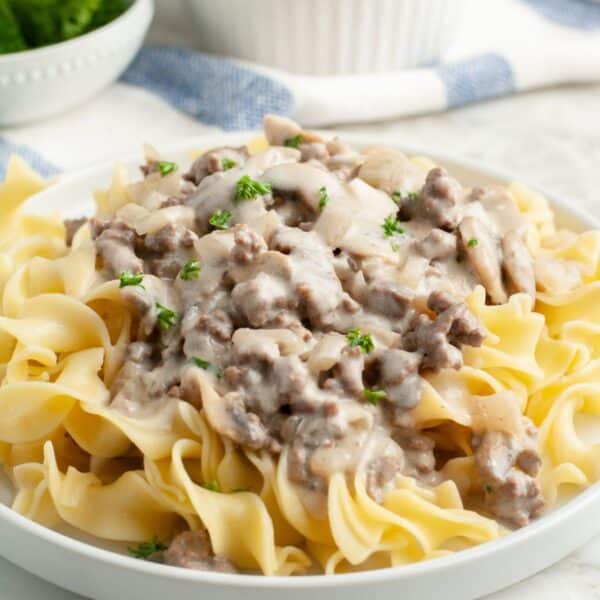 Plate of egg noodles and burger stroganoff.