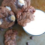 Chocolate cookies with glass of milk.