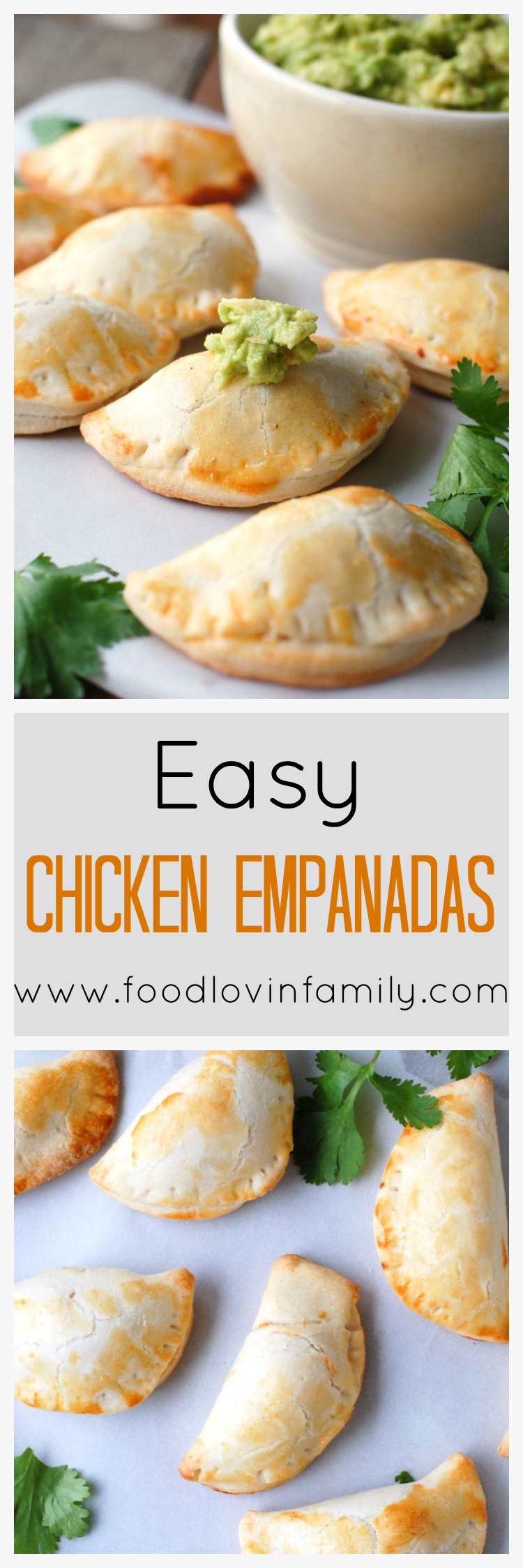 Easy Chicken Empanadas
