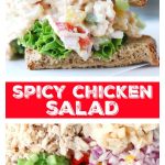 Spicy Chicken Salad Pin
