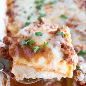 Spatula with piece of lasagna.