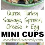 Quinoa egg bites in a bowl.