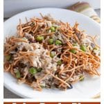 Asian Beef And Rice Pin for Pinterest