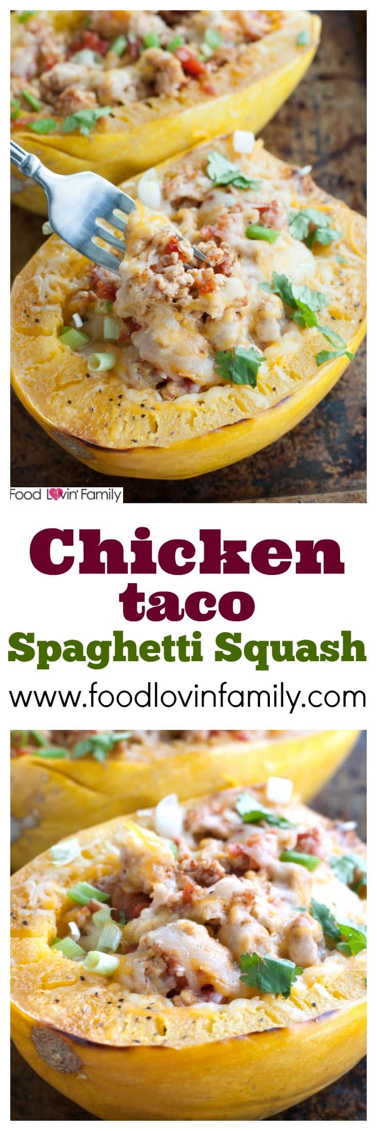 Chicken taco spaghetti squash pin