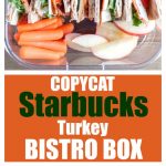 Container with stacked sandwich carrot stacks and apple slices.