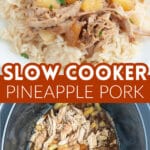 Plate with shredded pork over rice.