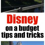 Picture of Disney World castle.