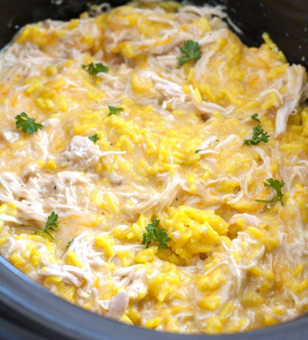 Easy Crockpot Chicken and Rice Food Lovin Family