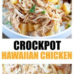Bowl of rice with shredded chicken and diced pineapple.
