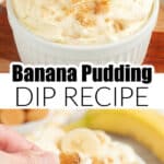 Bowl of banana pudding dip.