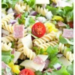pasta salad on a plate