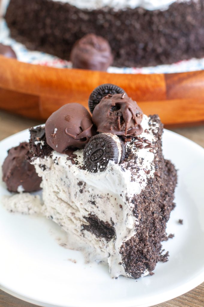 Piece of Ice cream cake on a white plate