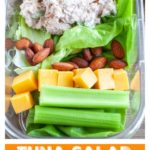 Container with tuna salad, celery and cheese.