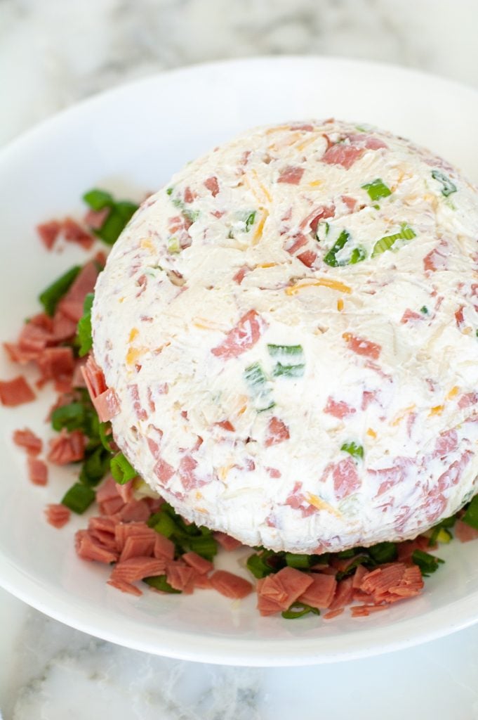 Cheese ball in bowl with green onions and beef