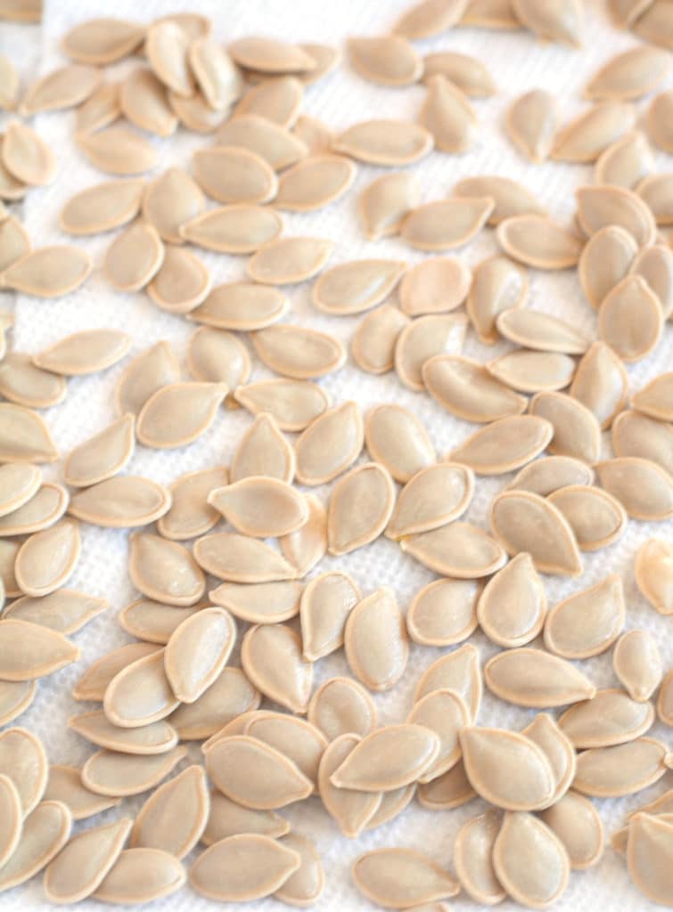 Air Fryer Roasted Pumpkin Seeds Pumpkin seeds drying on paper towels