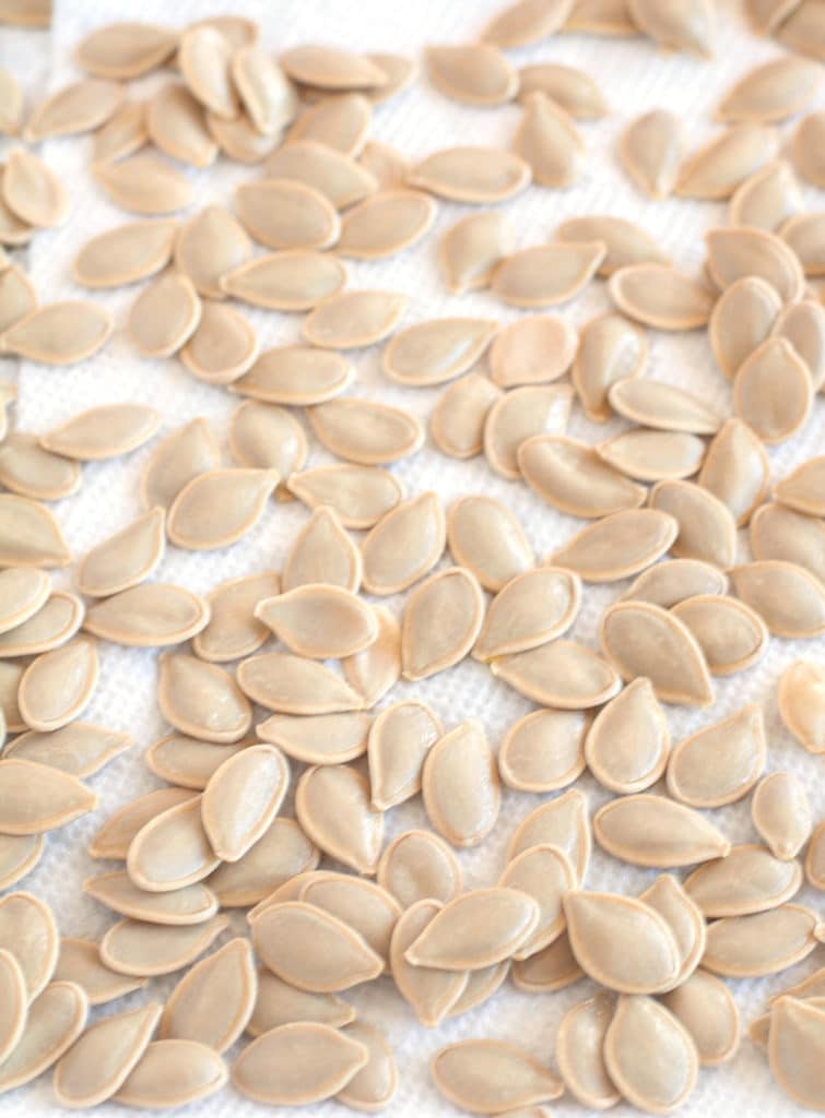 Pumpkin seeds drying on paper towels