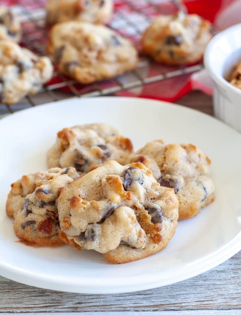 Cranberry chocolate chip cookies on a plate