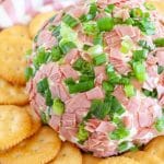 Cheese ball with beef and onions.