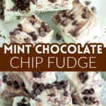 Plate of mint chocolate chip fudge.