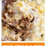 Sour cream noodle bake pin for pinterest