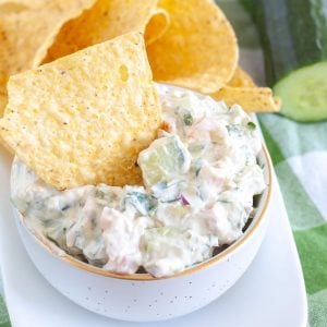 Dip with chip in the dip