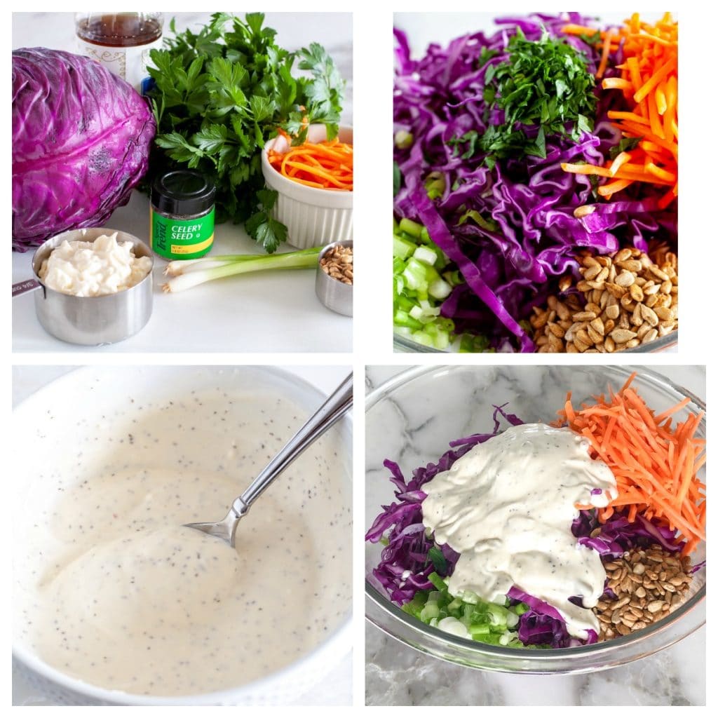 red cabbage, carrots, parsley, onions, on counter, chopped in a bowl and with dressing