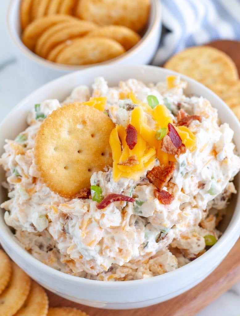 Dip with Ritz cracker in it
