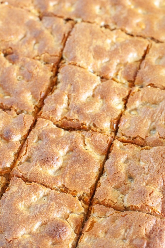 Blondies cut into squares