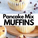 chocolate chip muffins