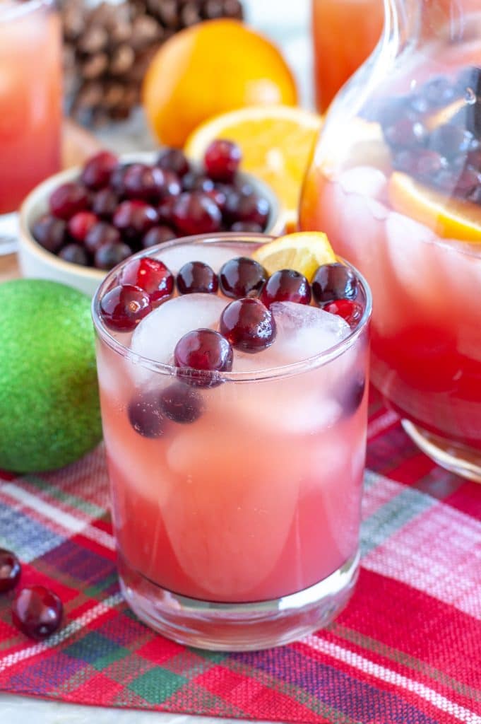 Punch in a glass with cranberries