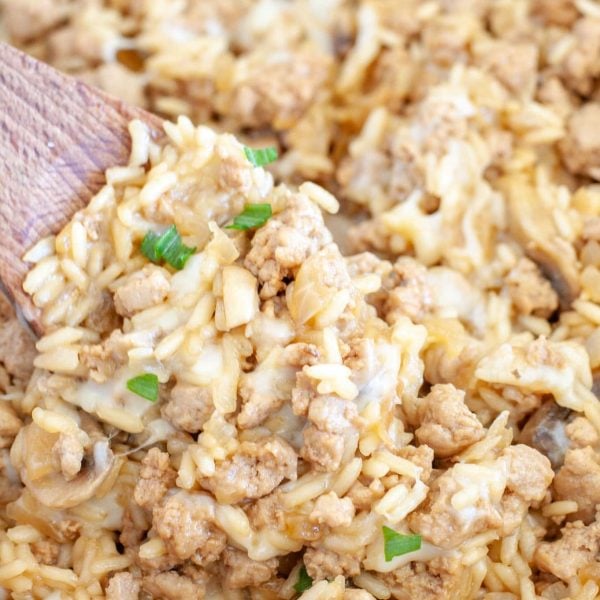 Wooden spoon in turkey and rice casserole