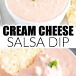 Bowl of cream cheese salsa dip.