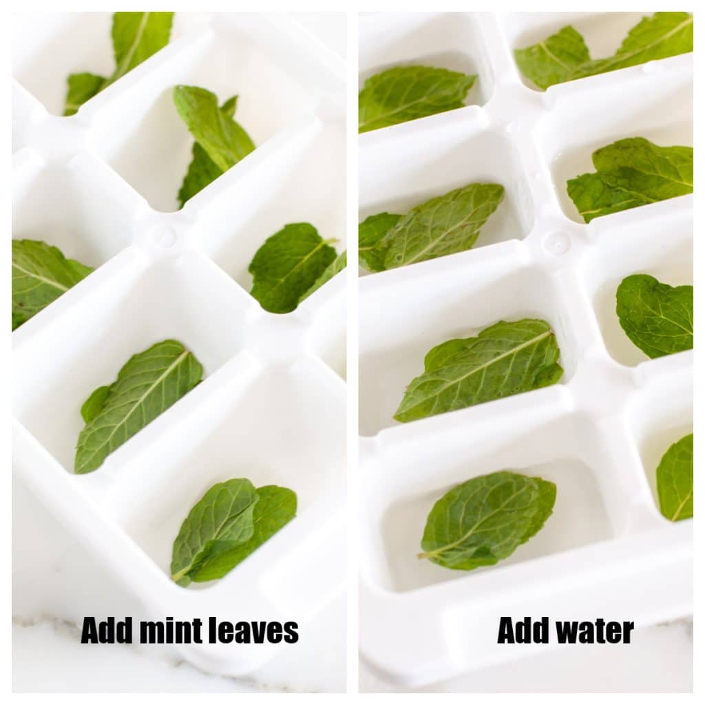 Frozen Mint Leaf Ice Cubes by thenaturalnurturer, Quick & Easy Recipe