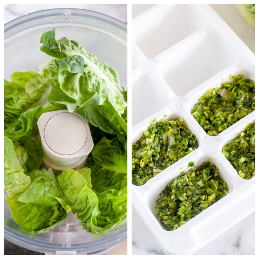 Lettuce leaves in food processor. Chopped lettuce in ice cube tray. 