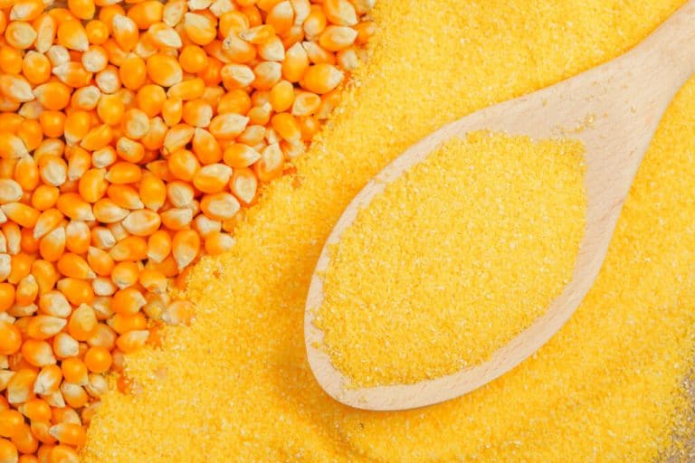 12 Best Cornmeal Substitutes Food Lovin Family