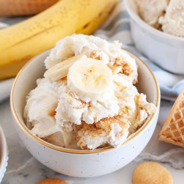 Bowl of ice cream with bananas on top.