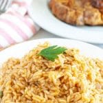 Pile of rice on a plate.