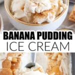 Bowl of banana pudding ice cream.