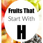 Bowl of honeydew, apples, and blueberries.