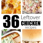 Chicken sandwich, lasagna, chicken salad and pasta casserole.