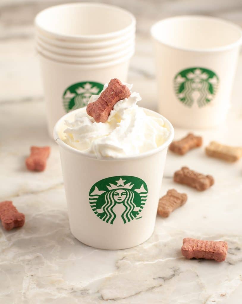 Small Starbucks cup with shipped cream and small dog treat.