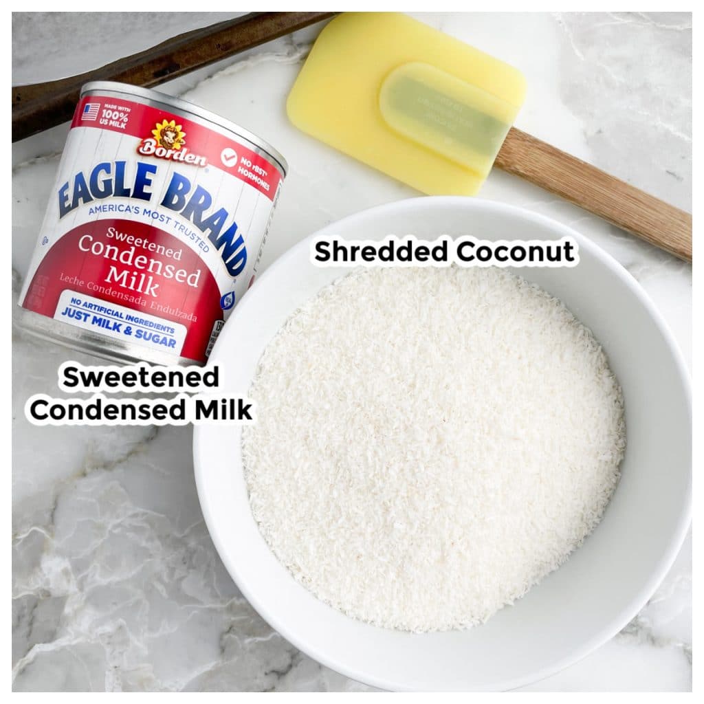 Can of sweetened condensed milk and bowl of shredded coconut.