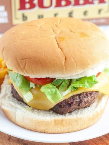 Cheeseburger on a plate.