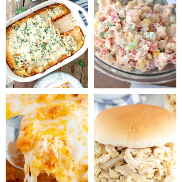 Lasagna, bowl of chicken salad, cheesy pasta, and shredded chicken sandwich.