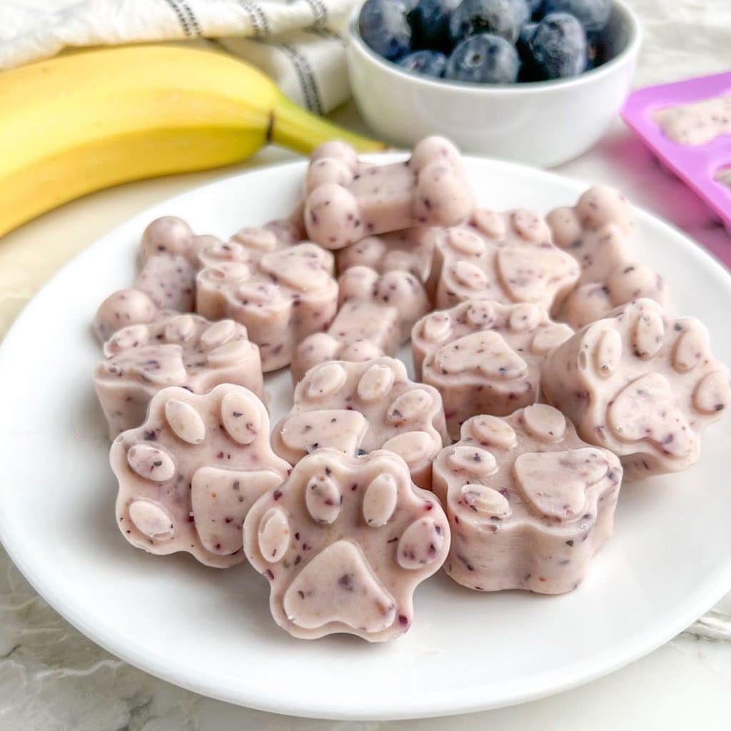 Plate of frozen dog treats. 